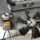 우성수리 이미지