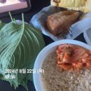 킹스바디 이미지