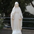 반석 건축사사무소 이미지