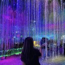 대전 오월드 나이트유니버스 야간개장, 밤 데이트✨
