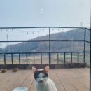 푸른솔과일 이미지