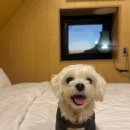 스키여행펜션 이미지