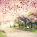 몬스터디자인 이미지