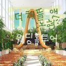 주식회사 우아한논현키친 | [웨딩홀 투어] '더채플앳논현' 27년 상반기,하반기 상담후기&견적공유 😀