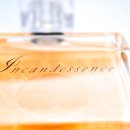 청화종합동물병원 이미지