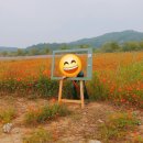 가족이야기 이미지