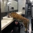 1-17 공중화장실 이미지