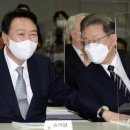 247미디어