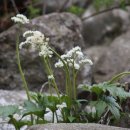 건축사사무소 성화 이미지