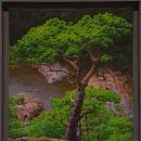 자연의 미학 이미지