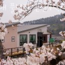 글램핑 추천 비토애 풀빌라펜션N럭셔리글램핑 가격 예약 찐 후기 리뷰