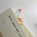 동성체육관 | 「 이제야 봄이 왔수다!!! 」