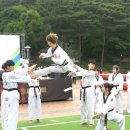 TIA 태권도 이미지