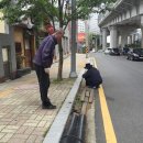 신선동-15 이미지