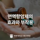 면역항암제의 효과와 부작용!｜혈액종양내과 김진영 교수님