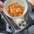전곡항고기나라