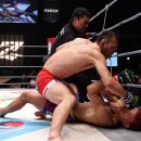 유일타이치 이미지