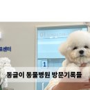 다나동물의료센터 이미지