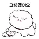 고색애견 이미지