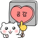 서리뷰티