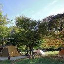 설악동자동차야영장 이미지