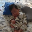 서리풀6길 10-9 이미지