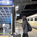 유럽여행 캐리어 추천 26인치 사이즈 크기 고민 끝 스탁사인 톨디 캐리어
