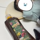 요즘 최애 꿀템 천연벌꿀 솔직 후기