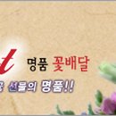 사파동168 이미지