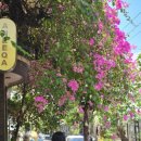 방잠하우스 | 발리 우붓 숙소 아데니아 하우스 Adenia House 조식 후기