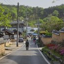 대구 비슬산,무심사, 도리사, 창녕 우포늪 등 (4/20~21) 여행길에 함께하신 분들 이미지