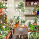 [종로] ‘실내 데이트’하기 좋은 알려지지 않은 꽃집 겸 카페_ 하우 애니(how any) 💐