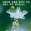 일사일언 (4월 첫주말에) 이미지