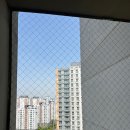 의정부 비둘기 퇴치, 아파트 골칫거리, 반짝클린에 맡기길 잘했어요!