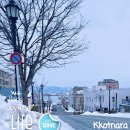 항만12로 | 꼬여버린 하코다테 여행 2일차 (아침시장, 다치마치곶, 하치만자카 언덕, 유노카와 항만, 칸타로 스시)