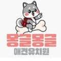 몽글몽글애견유치원(호텔&미용) 이미지