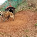 용모 농장 이미지