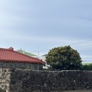 &lt;제주도&gt; 내돈내산 감성숙소/제주도 동쪽 숙소 추천/하도리 신상 숙소: 하도울