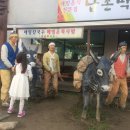 오셨뜨래요메밀여행