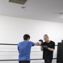 복싱메카 이미지