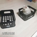 뭉구놀이터