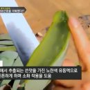 회춘명약