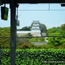 아와지 꿈의무대&amp;물의절 -1 이미지