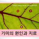 사자점