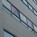 더셀트리스파 이미지