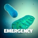 이노CK | 병리학(Pathology) 정의와 병인(Ethology) 정리 2