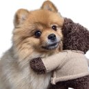 선의관악종합사회복지관 | 올네이션스 목자의 기도원, 시립 관악 노인종합복지관에 100만원 후원