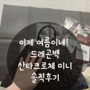 팔도보부상 | 내돈내산 여름에 어울리는 드래곤디퓨전백 산타크로체 스몰사이즈 메종드셀린느에서 구매한 솔직후기