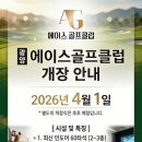 에이스골프클럽 이미지