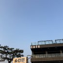 [순천/순천만] 루프탑이 있는 순천 디저트 카페 순천만 487 추천 후기